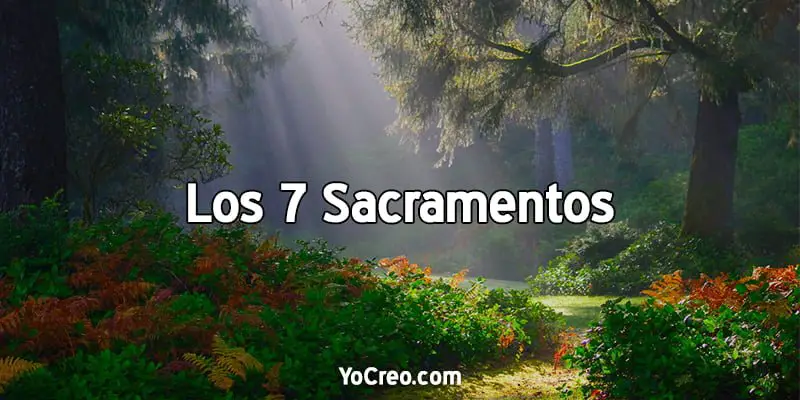 Los 7 Sacramentos De La Iglesia Conocelos Facilmente 2020