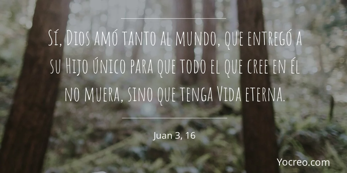 90 VERSÍCULOS DE ÁNIMO que te llenarán de fuerza y Fe Versículos bíblicos reconfortantes sobre el amor